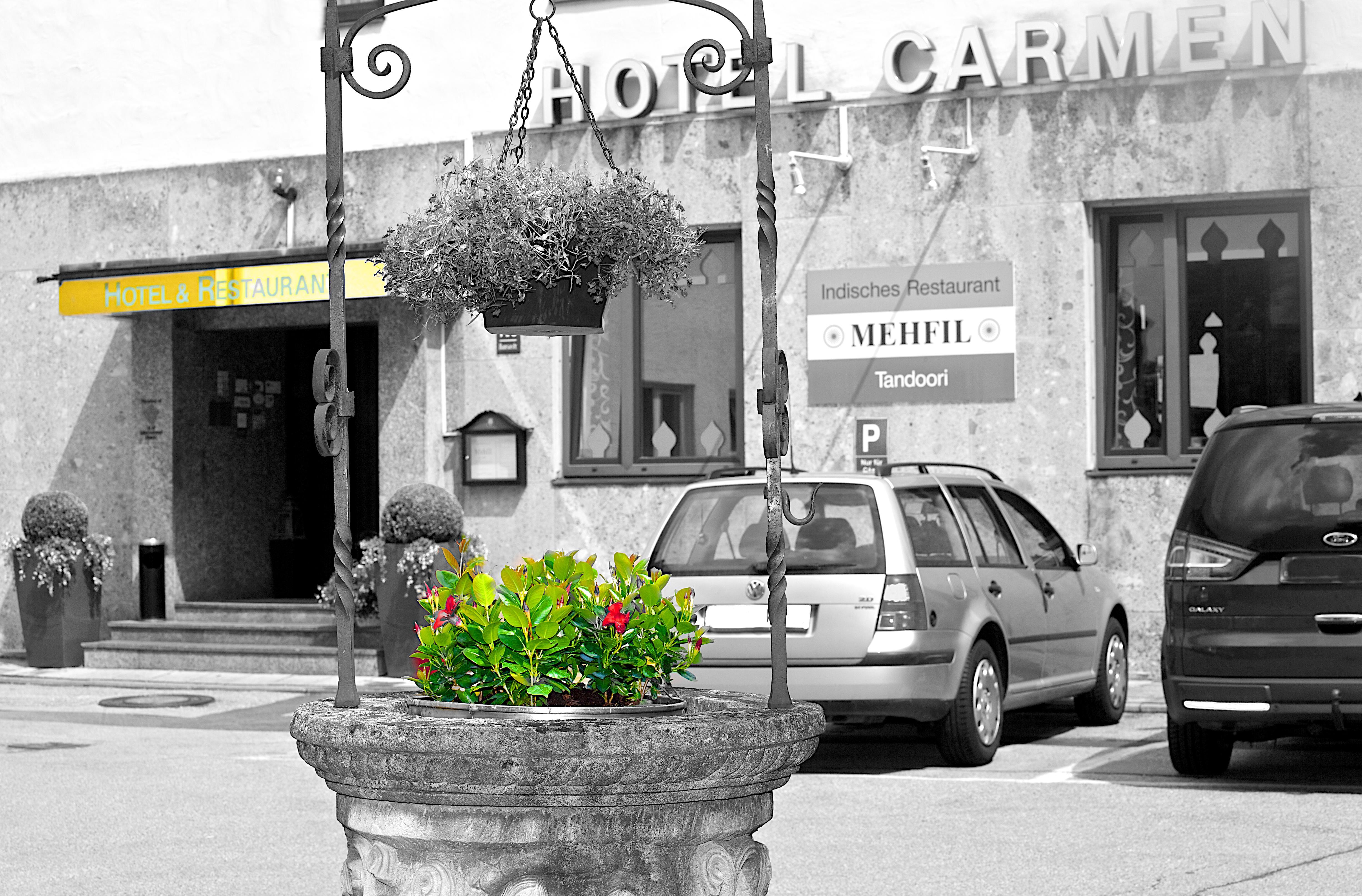 Hotel Carmen, Munich
